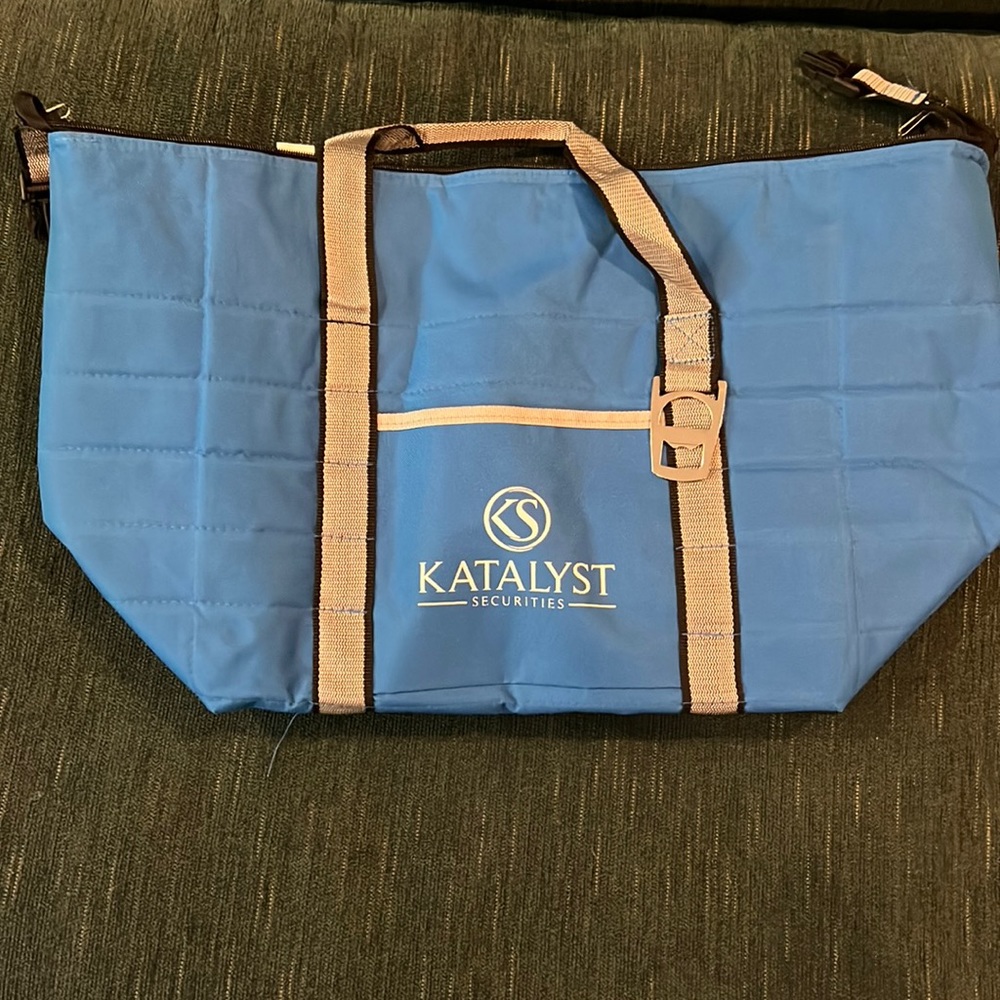 Portable cooler bag